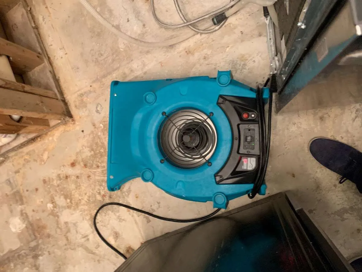 Air mover drying equipment for Mold Remediation & Removal in Laurel Bay